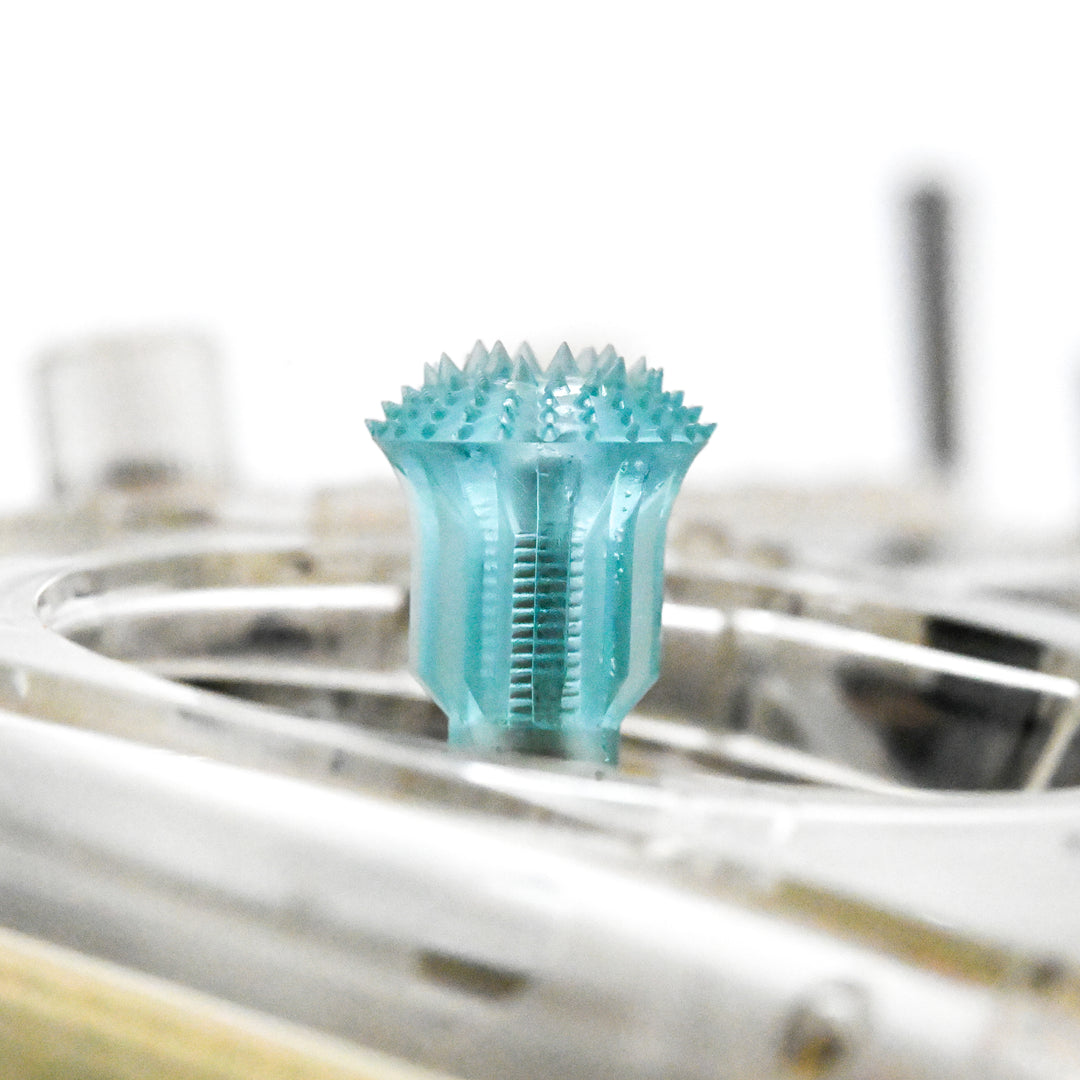 Five33 Charlito Rip Sticks